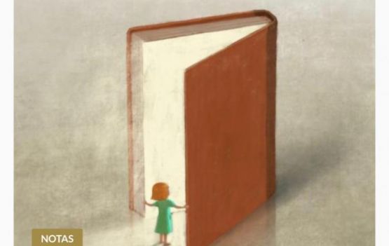 Curadora Joselia Aguiar apresenta programação principal, além de convidados nacionais e internacionais da 3ª FLIPF