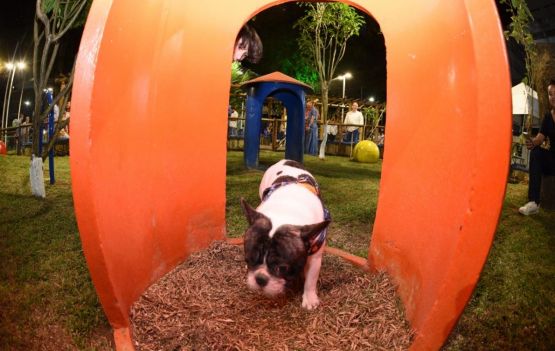 Fotos: Betto Jr./Secom