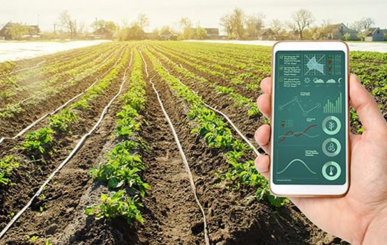 Trimble e AgTech Garage selecionam projetos de startups para otimizar custos no agronegócio Divulgação