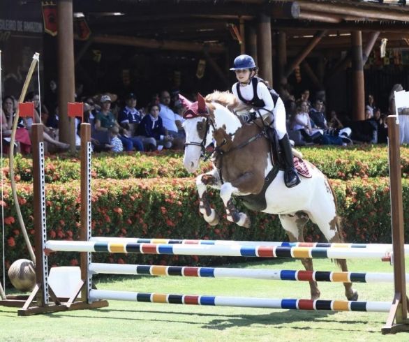 Beatriz Garcez, de Apenas 8 Anos, Brilha no Hipismo Nacional