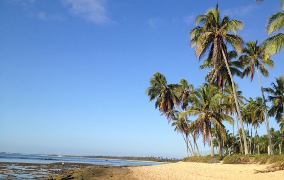 14º Tempero no Forte já tem data e tema