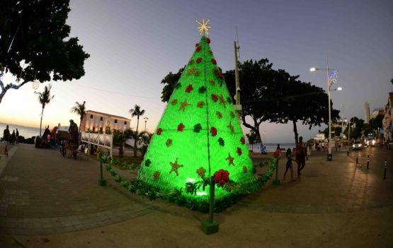 Bacanérrimas árvores de Natal sustentáveis feitas 100% com garrafas pet. 