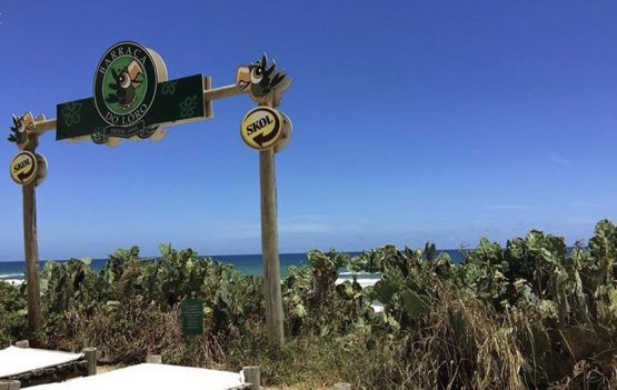 Gastronomia e pé na areia.