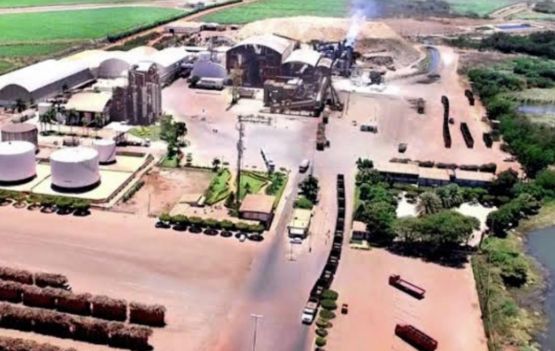 Agrovale em Juazeiro 