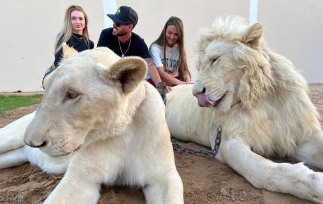 742AB20E-4766-4AB4-AACF-86CACB1A8F15