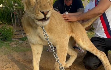 D81A1714-4767-4B9B-BC4F-A900B343C3CC