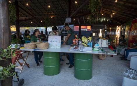 6E0C4117-B8B6-4C09-A63C-B38B4D0182AA