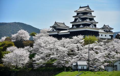 Castelo de Ozu, Província de Ehime Raicho/Shutterstock.com